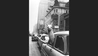 英奇·莫拉斯，《美国纽约时代广场上的美洲驼》，1957年，1977年印刷。明胶银印刷。阿瑟·b·斯坦曼的礼物。©Inge Morath / Magnum Photos