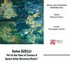 塞尔瓦·奥泽利的《日冕时代的艺术——空间太阳恢复玫瑰》