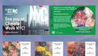 塞尔瓦·奥泽利为纽约气候周举办的9场艺术展