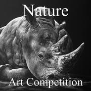第八届年度自然网络艺术比赛