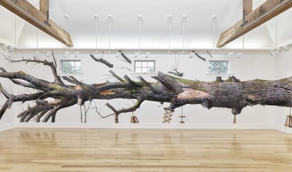 伊桑·默罗，《温室》，2021年，墙面高流丙烯，75英尺，朱莉娅·费瑟英吉尔拍摄。