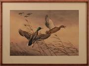 BORIS RIAB(1898 - 1975)飞行中的鸭子水彩画，13 x 19.75英寸/右下角签名