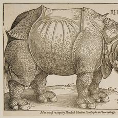 AlbrechtDürer，Rhinoceros，1515年。木刻。哈佛艺术博物馆/雾博物馆，弗朗西斯·卡利·格雷（Francis Calley Gray）收藏的威廉·格雷（William Gray）的礼物，G1141。照片©哈佛大学校长和研究员。